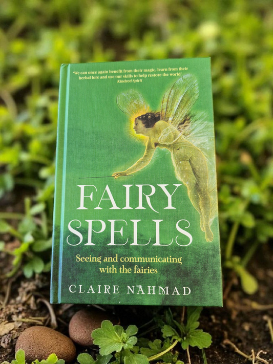 Fairy Spells - Seeing and Communicating with the Fairies
