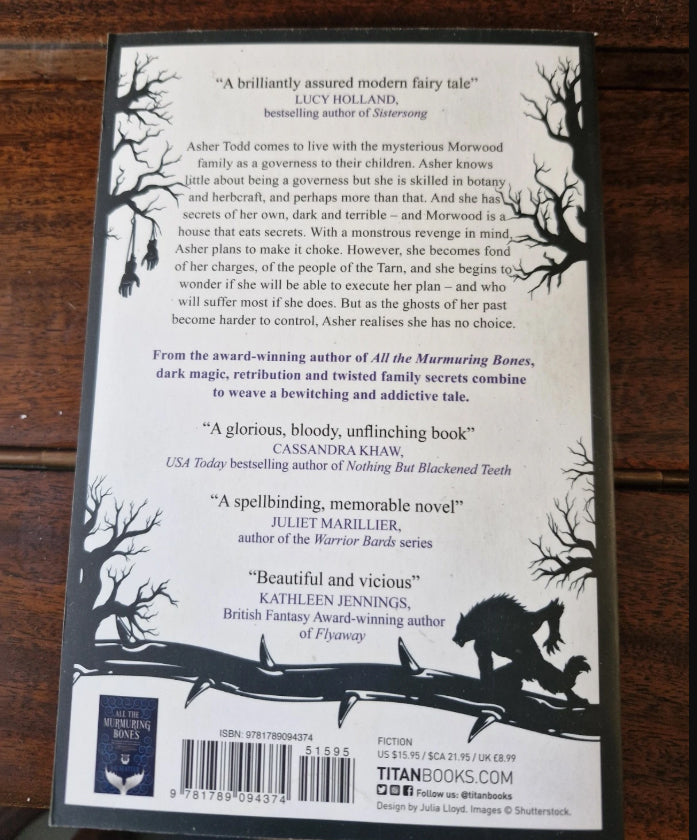 The Path of Thorns A G Slatter Gothic Fantasy Dark Fairy Tale Paperback