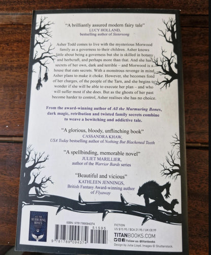 The Path of Thorns A G Slatter Gothic Fantasy Dark Fairy Tale Paperback