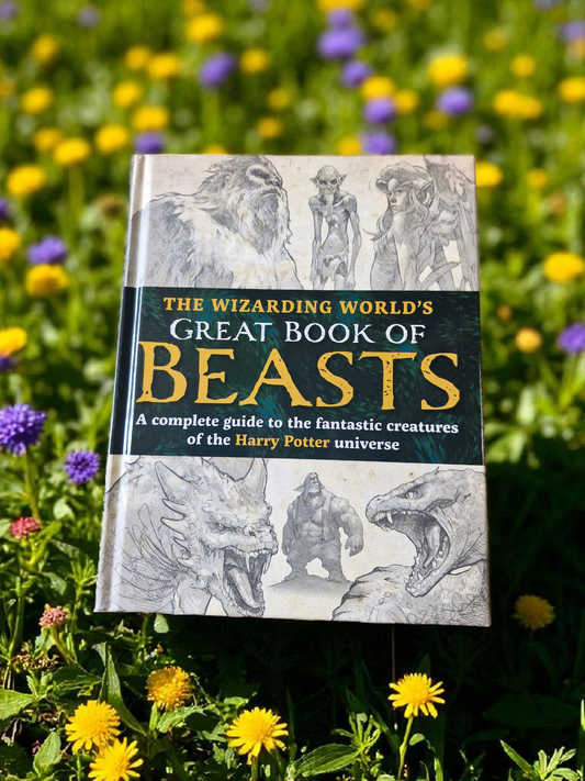 Beasts, Beings & Everything in Between